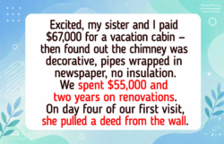 15 Heartbreaking Renovation Flips Where Reality Hit and Destroyed Every Illusion