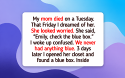 12 True Moments of Quiet Kindness That Guide Your Heart Back to the Light