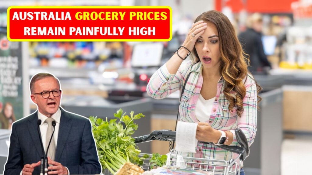 Australia Grocery Prices 2026