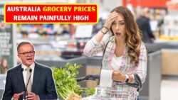 Australia Grocery Prices 2026: Food Costs Remain High Despite Supply Improvements
