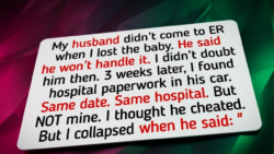 15 Beautiful Moments That Prove Quiet Kindness Still Inspires Unconditional Love and Happiness in 2026