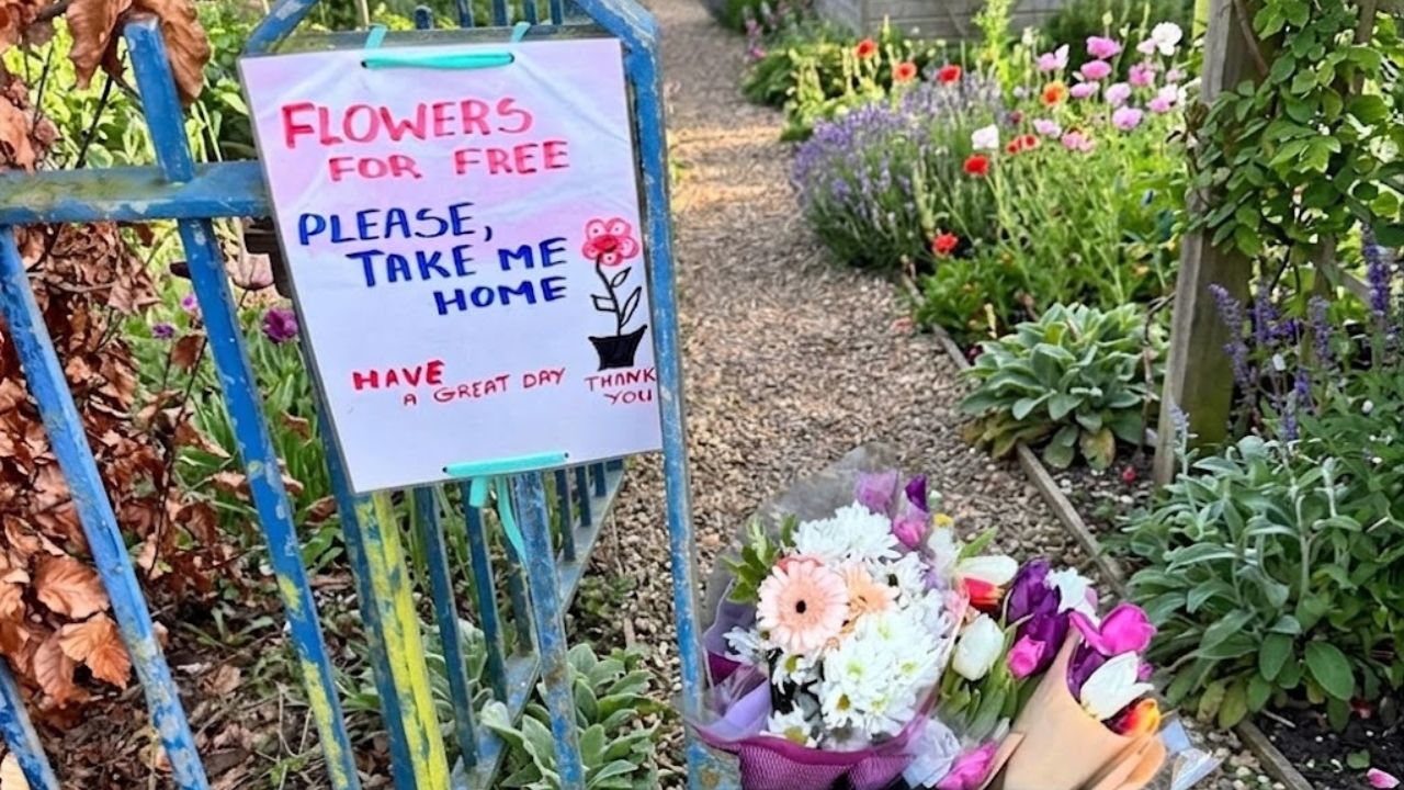 walking with my wife,